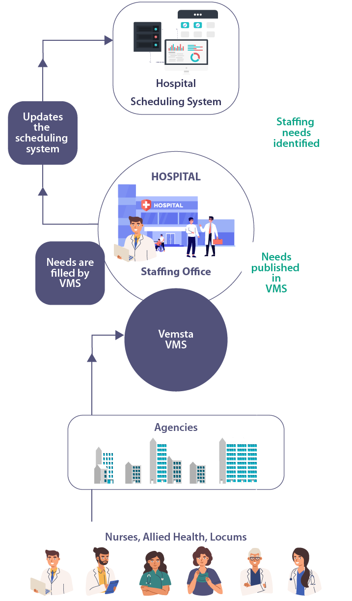 Healthcare Vendor Management System for More Efficiency | Vemsta